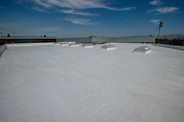 Best Rubber Roofing (EPDM, TPO)  in Georgetown, GA