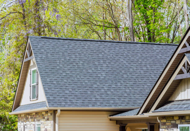 Best Roof Insulation Installation  in Georgetown, GA